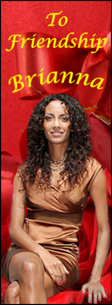 Brianna Sidebar Ps8